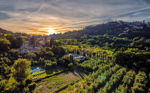 Villa Ardene: Nuage, Ciel, Atmosphère, Plante, Paysage Naturel, Lumière Du Soleil, Arbre, Crépuscule, Afterglow, Paysage