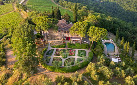 Villa Le Corti: Arbuste, Jardin, Communauté Des Plantes, Couverture De Sol, Aménagement Paysager, Biens, Jardin Botanique, Hacienda, Arrière-Cour