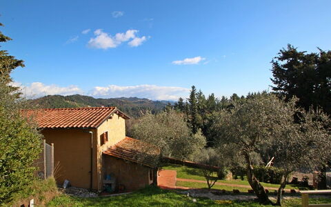 Villa Del Colle: Nuage, Plante, Ciel, Propriété, Écorégion, Paysage Naturel, Arbre, Environnement Naturel, Fenêtre, Lot Terre