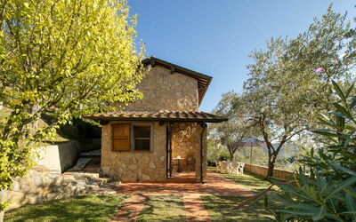 Villa Del Colle: Plante, Ciel, Propriété, Communauté Des Plantes, Fenêtre, Paysage Naturel, Bâtiment, Arbre, Bois, Lot Terre