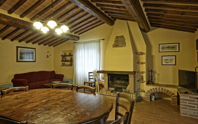 Logement:&nbsp;Tulipano