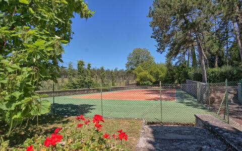 Il Poggio Di Patrignone: La Nature, Paysage Naturel, Jardin, Propriété, Arbre, Immobilier, Herbe, Botanique, Ciel, Cour