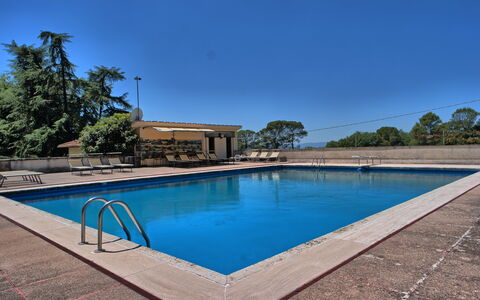 Il Poggio Di Patrignone: Piscine, Propriété, Immobilier, Maison, L'Eau, Loisir, Biens, Domicile, Zone Résidentielle, Bâtiment