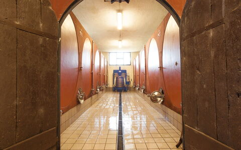 Fattoria Di Quercia Al Poggio: Bâtiment, Cambre, Architecture, Pièce, Sol, Salle, Design Intérieur, Plafond, Symétrie, Sol