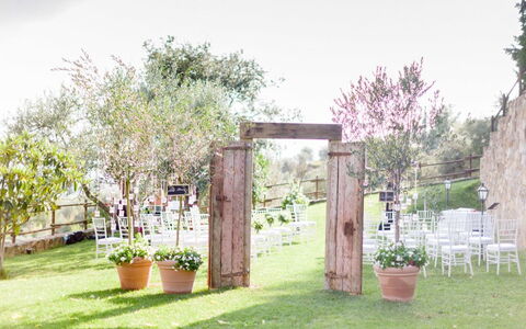 Fattoria Di Quercia Al Poggio: Propriété, Cour, Herbe, Arrière-Cour, Arbre, Jardin, Lot Terre, Maison, Bâtiment, Pelouse