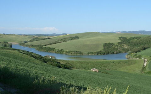 Agriturismo Il Gattero: Prairie, Paysage Naturel, Environnement Naturel, Plaine, Ressources En Eau, Colline, Zone Rurale, Pâturage, L'Eau, Lot Terre