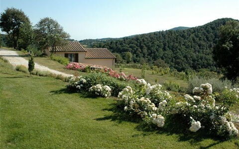 Villa Di Seripa: Lot Terre, Propriété, Jardin, Plante, Herbe, Communauté Des Plantes, Arbuste, Arbre, Zone Rurale, Pelouse