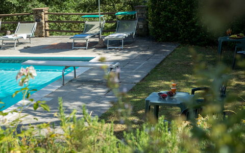 Podere Schignano: Plante, Meubles, Communauté Des Plantes, Vertébré, Chaise, L'Eau, Botanique, Mobilier De Jardin, Végétation, Herbe