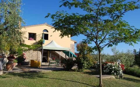 Il Circolo: Propriété, Domicile, Maison, Arbre, Immobilier, Bâtiment, Quartier, Chalet, Architecture, Zone Résidentielle