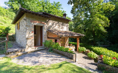 La Ripresa: Propriété, Maison, Chalet, Bâtiment, Immobilier, Domicile, Botanique, Cour, Biens, Zone Rurale