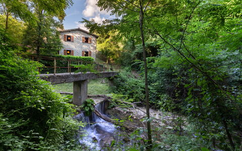 La Ripresa: La Nature, L'Eau, Végétation, Vert, Cours D'Eau, Arbre, Réserve Naturelle, Environnement Naturel, Biome, Rivière