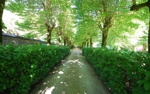 Villa Paola: Vert, La Nature, Arbre, Paysage Naturel, Végétation, Feuille, Réserve Naturelle, Environnement Naturel, Herbe, Plante