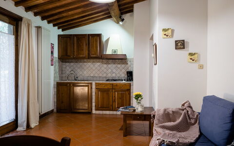 Logement:&nbsp;Olivi