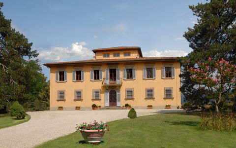 Villa Del Conte: Biens, Propriété, Bâtiment, Maison, Manoir, Domicile, Manoir, Villa, Demeure Seigneuriale
