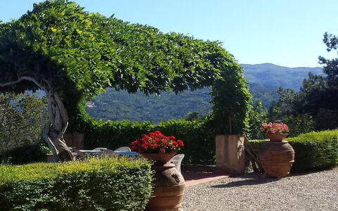 Villa Del Conte: Jardin, Végétation, Arbre, Arbuste, Jardin Botanique, Paysage Naturel, Haie, Botanique, Plante, Ciel