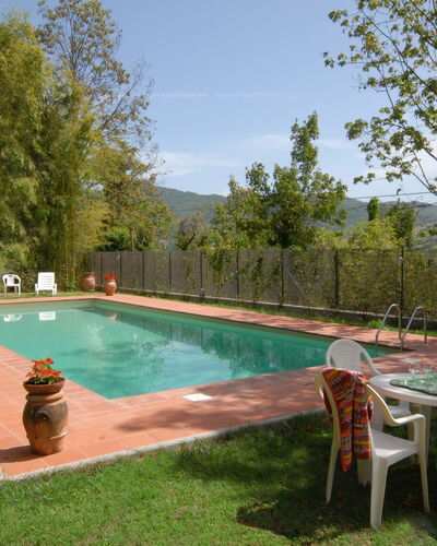 Villa Del Conte: Piscine, Propriété, Arrière-Cour, Herbe, Loisir, Immobilier, Biens, Maison, Cour, Arbre