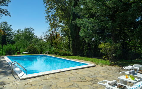 Villa Cinzia: L'Eau, Plante, Piscine, Arbre, Ombre, Rectangle, Paysage Naturel, Herbe, Loisir, Composite