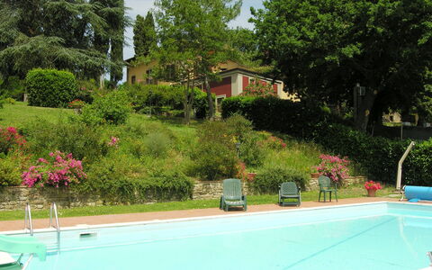 Villa i Cedri: Piscine, Propriété, Loisir, Immobilier, Zone Résidentielle, Maison, Herbe, Arbre, Paysage, Vacances