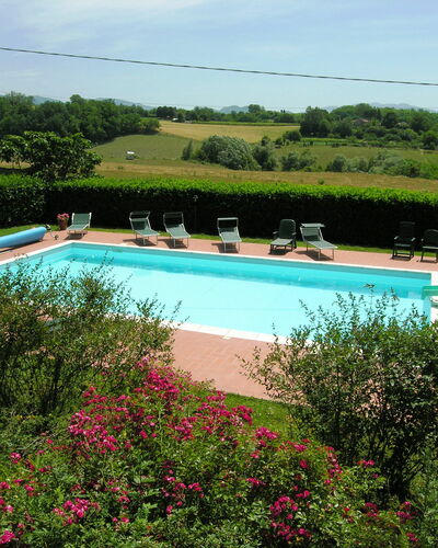 Villa i Cedri: Piscine, Propriété, Loisir, Vacances, Recours, Été, Ciel, Immobilier, Maison, Herbe