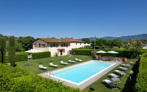 Villa Del Borgo: Biens, Hacienda, Villa, Piscine, Pelouse, Ferme, Hôtel, Recours, Aménagement Paysager, Cour