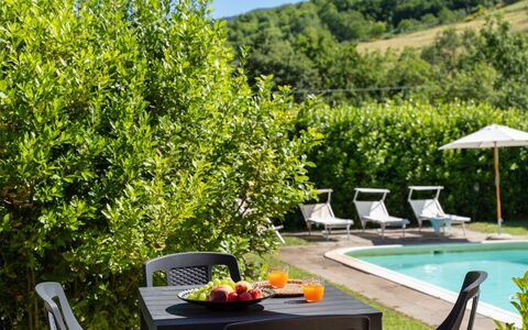 Villa Il Nido: L'Eau, Plante, Meubles, Communauté Des Plantes, Vert, Mobilier De Jardin, Table, Piscine, Fleur, Arbre