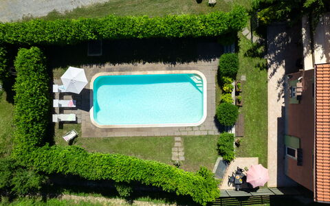 Villa Il Nido: Plante, Vert, Bâtiment, Rectangle, Lot Terre, Design Urbain, Herbe, Fenêtre, Arbuste, Couverture De Sol