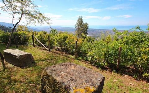 Villa Miramare: La Nature, Région Sauvage, Environnement Naturel, Arbre, Paysage Naturel, Réserve Naturelle, Roche, Montagne, Ciel, Forêt