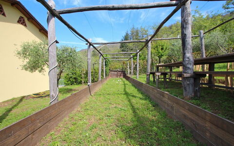 Villa Miramare: Arbre, Pont, Herbe, Zone Rurale, Immobilier, Passerelle, Architecture, Structure De Nonbuilding, Lot Terre, Plante