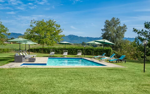 Villa La Collina: Plante, Ciel, Nuage, Parapluie, L'Eau, Piscine, Arbre, Chaise, Ombre, Mobilier De Jardin