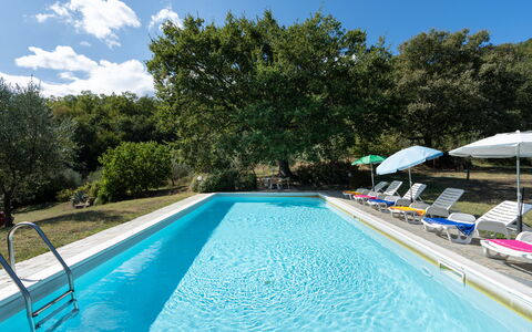 Casa Corella: L'Eau, Plante, Ciel, Propriété, Piscine, Nuage, Bleu Azur, Arbre, Ombre, Rectangle