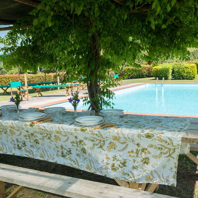 Villa Le Volte: Piscine, Propriété, Vacances, Loisir, Arbre, Recours, Maison, Immobilier, Table, Paysage