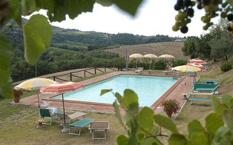 Agriturismo Paterno: Piscine, Propriété, Loisir, Recours, Vacances, Villa, Ombre, Arbre, Maison, Bâtiment