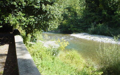 Riviere