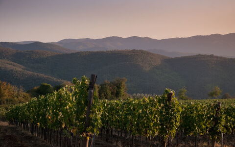 Villa Mandorlo: Plante, Ciel, Montagne, Paysage Naturel, Montagnes, Lot Terre, Agriculture, Lever Du Soleil, Montagnes Relief, Paysage