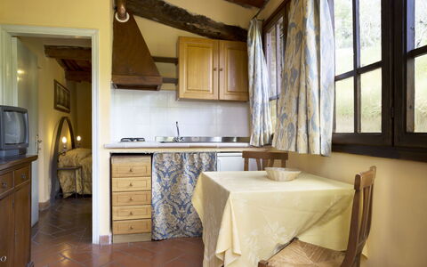 Living room / Kitchen