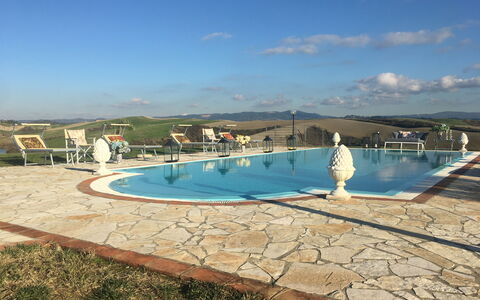 Villa Barbara: Piscine, Bleu Azur, Caractéristique De L'Eau, Aqua, Composite, Dalle, Ville Resort, Recours, Tuile, Hôtel