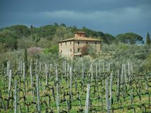 Logement:&nbsp;Villa Margherita