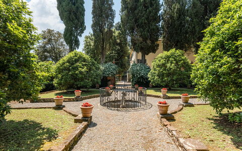 Villa de Ranieri: Plante, Surface De La Route, Arbre, Paysage Naturel, Herbe, Suppression Des Plantes Ligneuses, À Feuilles Persistantes, Loisir, Couverture De Sol, Route