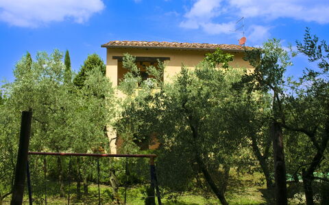 Collina dei Fiori: Arbre, Feuille, Végétation, Arbuste, Lot Terre, Domicile, Zone Rurale, Printemps, Chalet, Jardin