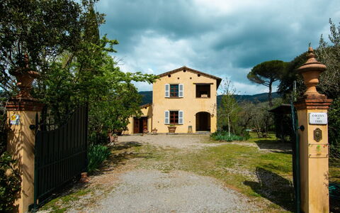 Collina dei Fiori: Ciel, Nuage, Plante, Fenêtre, Bâtiment, Lot Terre, Arbre, Herbe, Paysage, Zone Rurale