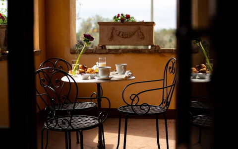 Collina dei Fiori: Plante, Table, Meubles, Fleur, Chaise, Bâtiment, Design Intérieur, Plante D'Appartement, Salon, Pot De Fleur