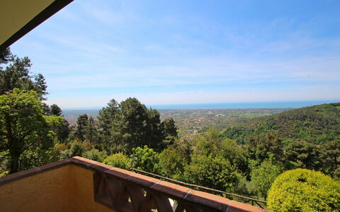 Villa La Collinetta: Nuage, Ciel, Propriété, La Nature, Feuille, Bois, Architecture, Arbre, Végétation, Matin