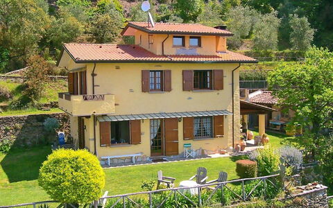 Villa La Collinetta: Plante, Fenêtre, Propriété, Bâtiment, Vert, Arbre, Maison, Jaune, Végétation, Chalet