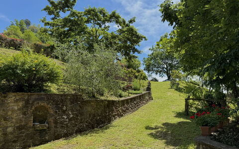 Anfora!!: Herbe, Vert, Arbre, Feuille, Végétation, Paysage Naturel, Arbuste, Paysage, Zone Rurale