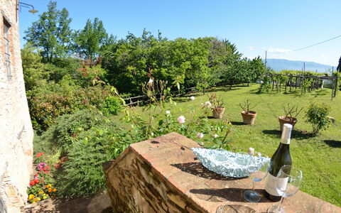 Bettina!: Propriété, Herbe, Immobilier, Maison, Arbre, Jardin, Chalet, Paysage, Zone Rurale, Lot Terre