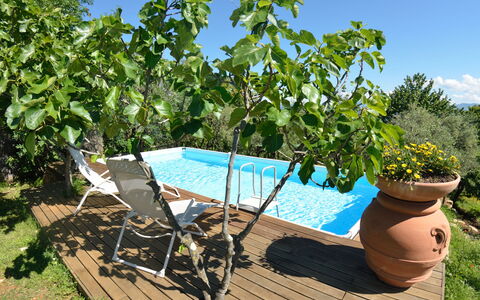 Bettina!: Propriété, Arbre, Plante, Immobilier, Loisir, Vacances, Maison, Piscine, Fleur, Biens