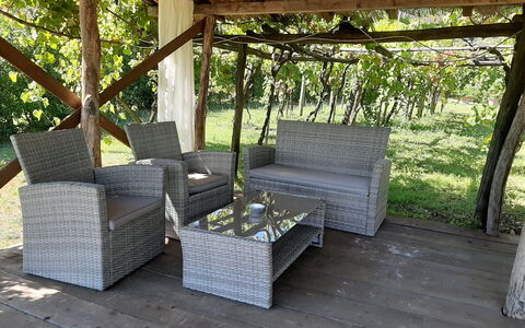 Bettina!: Plante, Ombre, Bois, Canapé, Mobilier De Jardin, Arbre, Design Intérieur, Herbe, Chalet, Rectangle