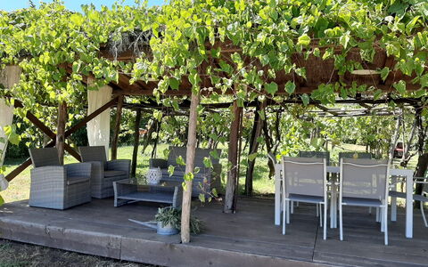 Bettina!: Plante, Ombre, Botanique, Ciel, Arbuste, Herbe, Arbre, Extérieur Banc, Couverture De Sol, Plante À Fleurs