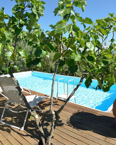 Bettina!: Propriété, Arbre, Plante, Immobilier, Loisir, Vacances, Maison, Piscine, Fleur, Biens