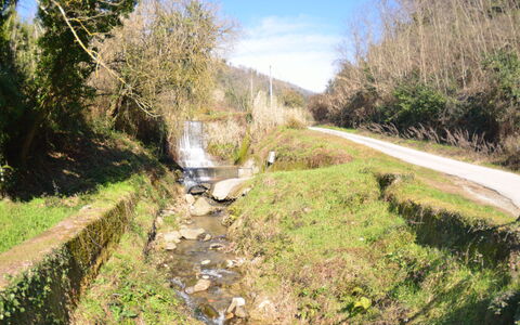 Casa Milena: Voie Navigable, Paysage Naturel, Route, Ressources En Eau, Géologique Phénomène, Canal, Arbre, Cours D'Eau, Rue